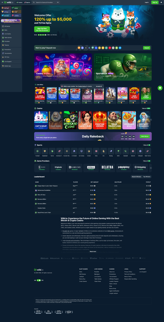 Online gambling website: Payment method and UI speed evaluated on different devices and web browsers, video recording made during the process. Wild.io