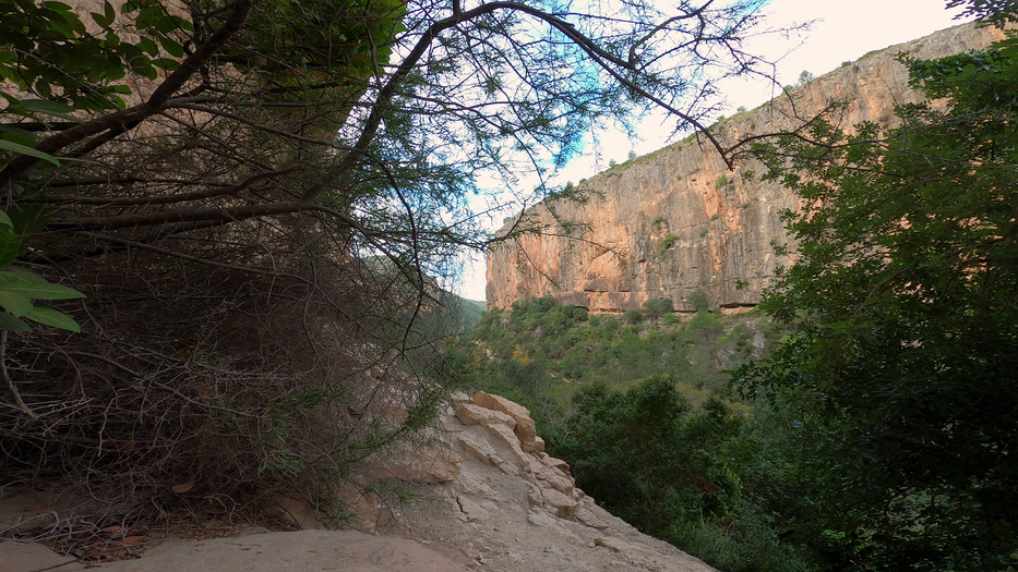 Video-audio recording: I offer a comprehensive suite of visual solutions, capturing the beauty of landscapes. My advanced stabilization techniques guarantee smooth and dynamic visuals. YouTube