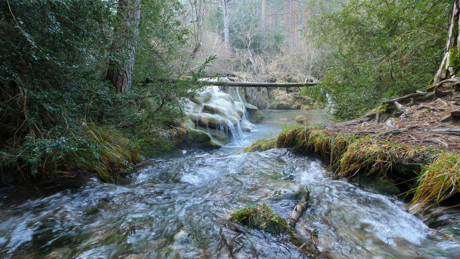 Video-audio recording: I offer a comprehensive suite of visual solutions, capturing the beauty of landscapes. My advanced stabilization techniques guarantee smooth and dynamic visuals. YouTube