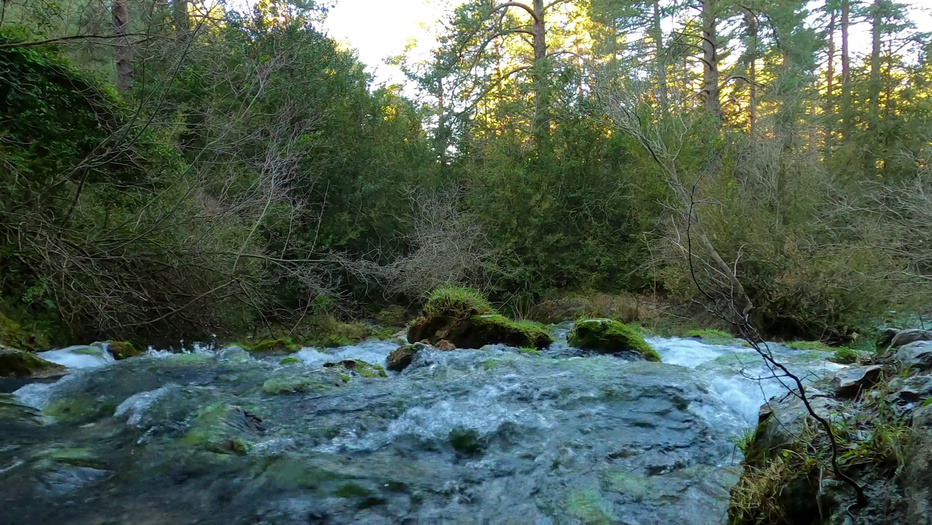 Video-audio recording: I offer a comprehensive suite of visual solutions, capturing the beauty of landscapes. My advanced stabilization techniques guarantee smooth and dynamic visuals. YouTube